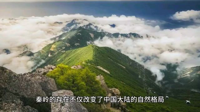 为什么只有秦岭敢称“中华龙脉”? 广义的秦岭作为中国文化与中国生态的一张靓丽名片,她在历史传承、生态效益等众多方面具有极大的影响,因此被称为...