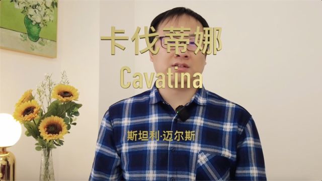 它是一段电影配乐,它是一个电影主题曲,它是一首歌曲,它是一种音乐形式,《卡伐蒂娜》,Cavatina,五味杂陈,品味一声