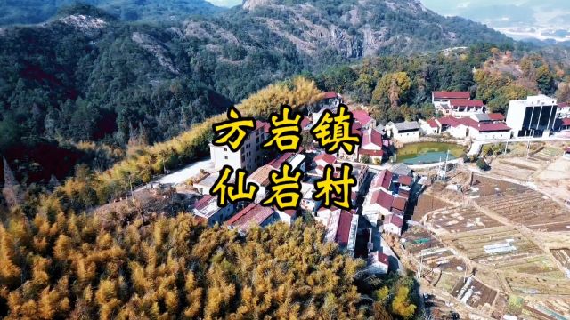 永康市方岩镇仙岩村