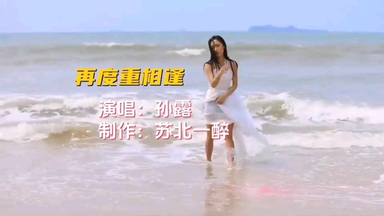 孙露经典老歌《再度重相逢》,磁性的嗓音,把这首歌演绎的优美动听.