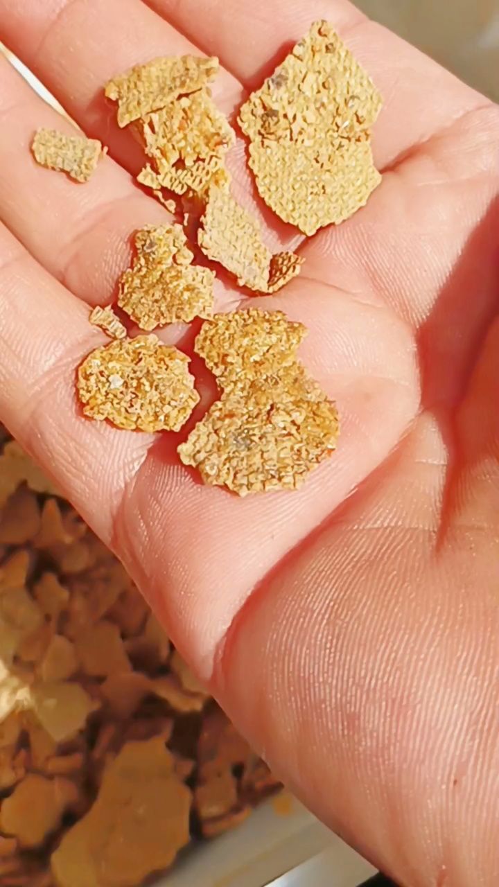 恒亮蜂胶为何不能买(恒亮蜂胶60粒价格表)