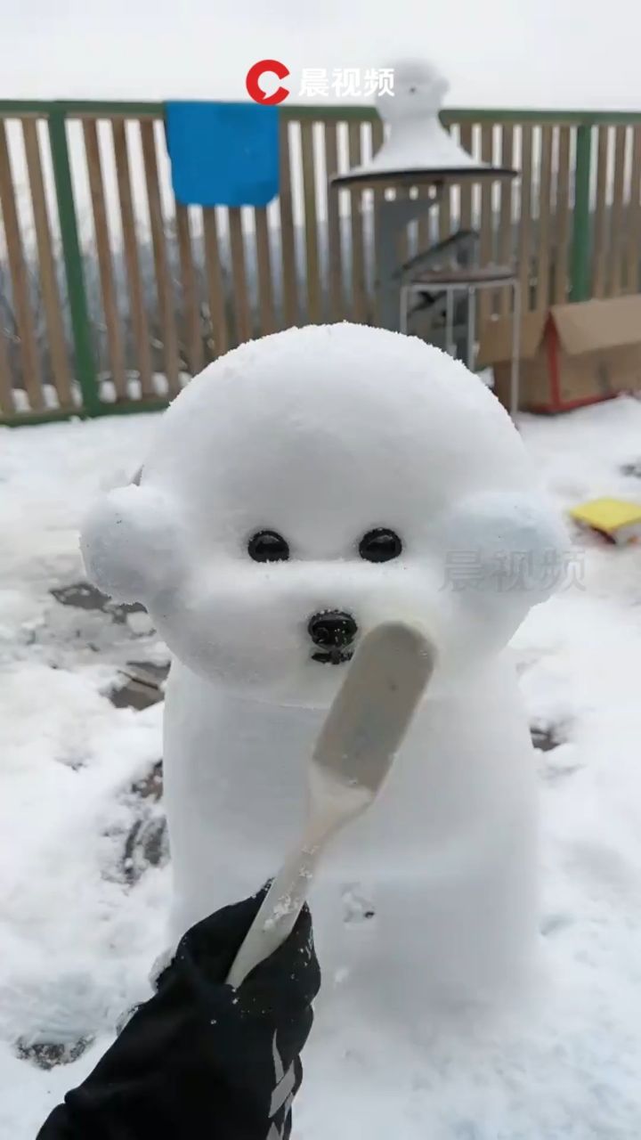 男子用雪堆出"比熊犬",网友:第一眼还以为是真的