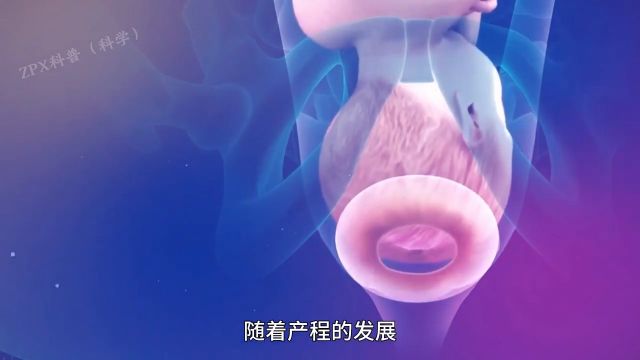 你知道分娩时都发生什么了么?这期视频为你讲解生孩子全过程