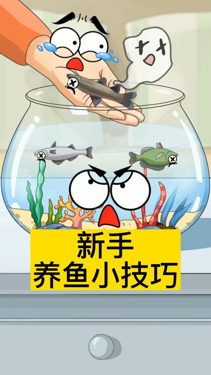 新手养鱼小技巧!