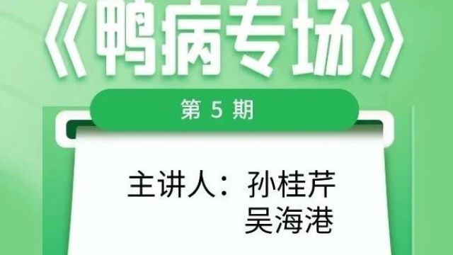 关于养鸭与鸭病防治最全面的一次课程