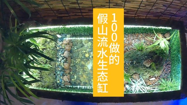 100制作的假山流水生态缸用废弃的周转箱一百制作了溪流盆景,有山有水有沙滩 #盆景[话题]# #鱼缸造景[话题]# #鱼缸里的大自然[话题]# #微景观[话题]