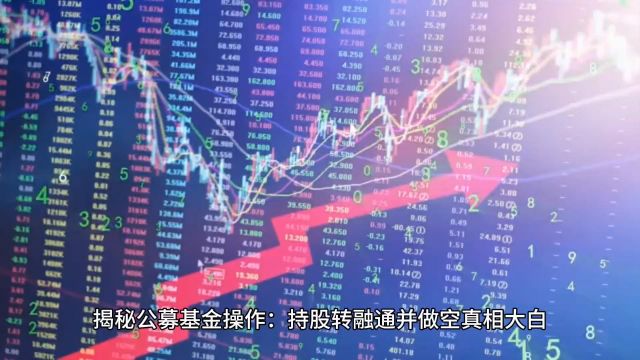 揭秘公募基金操作:持股转融通并做空真相大白