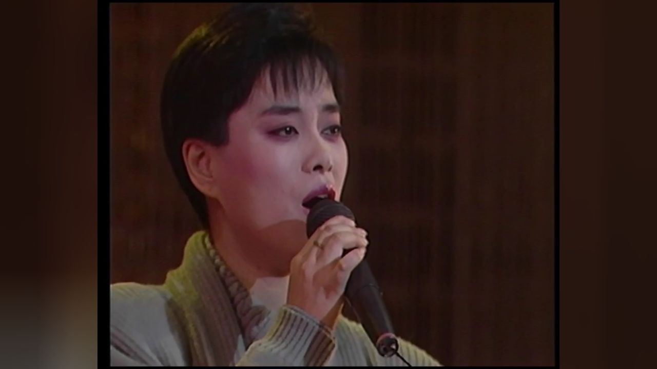 毛阿敏《渴望》