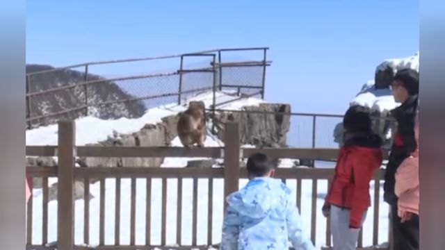 景区迎来节日游客高峰,多举措保游览安全