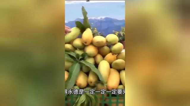 云南大山深处的味道,一起来品尝品尝