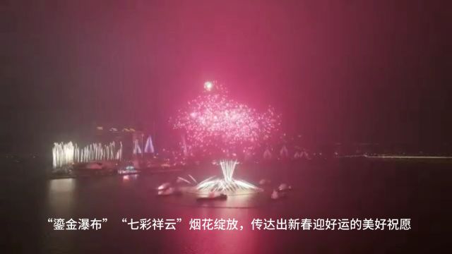 视频|“花火之舞”闪耀央视春晚,浏阳烟花送来新年祝福