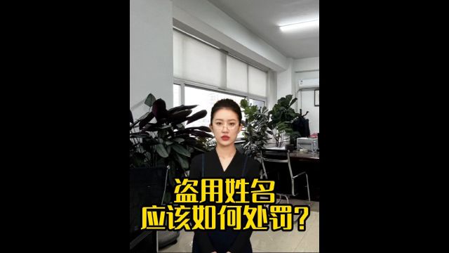 盗用姓名应该如何处罚?