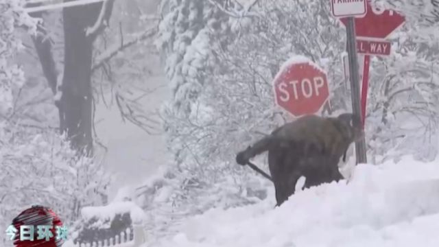 美国东北部多地遭遇严寒天气,带来大风强降雪天气,大批用户断电