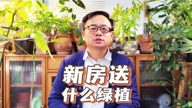 新房送什么绿植比较好?根据这3个方面,表达美好祝福