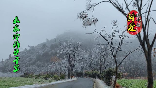 带你来看看江南的冰雨