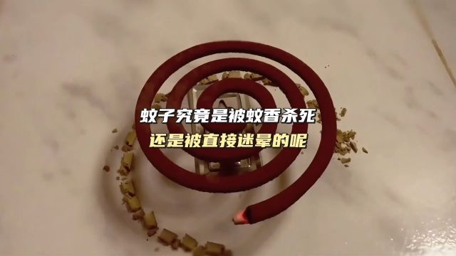 蚊香的工作原理是什么,蚊子是被蚊香杀死还是被直接迷晕的呢?.