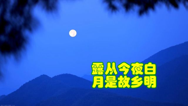 品鉴唐诗 露从今夜白 月是故乡明 《月夜忆舍弟》