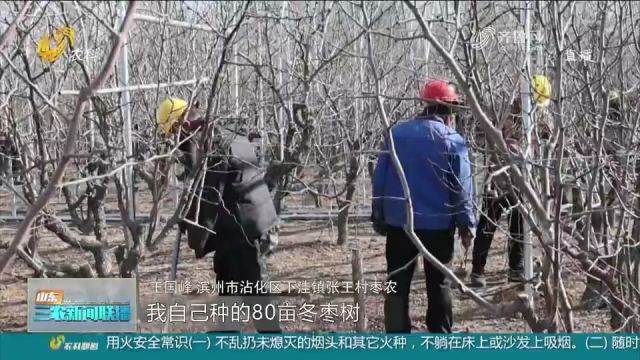 滨州沾化:枣农紧锣密鼓加紧建设,数十座钢架大棚将投入使用