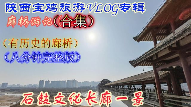 龙年春节陕西宝鸡旅游vlog专辑,陈仓老街石鼓文化廊桥游记(全)