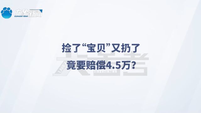 捡了“宝贝”又扔了 竟要赔偿4.5万?