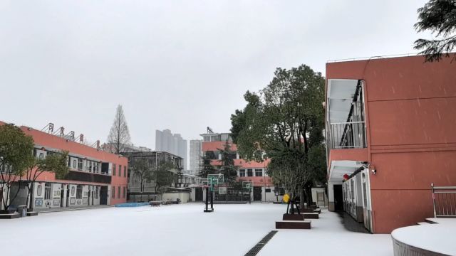 下雪第一天,飘雪的校园