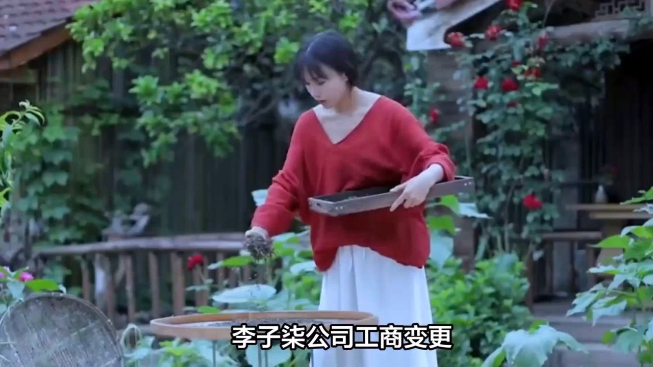 李子柒公司大股东变更为艺名李子柒