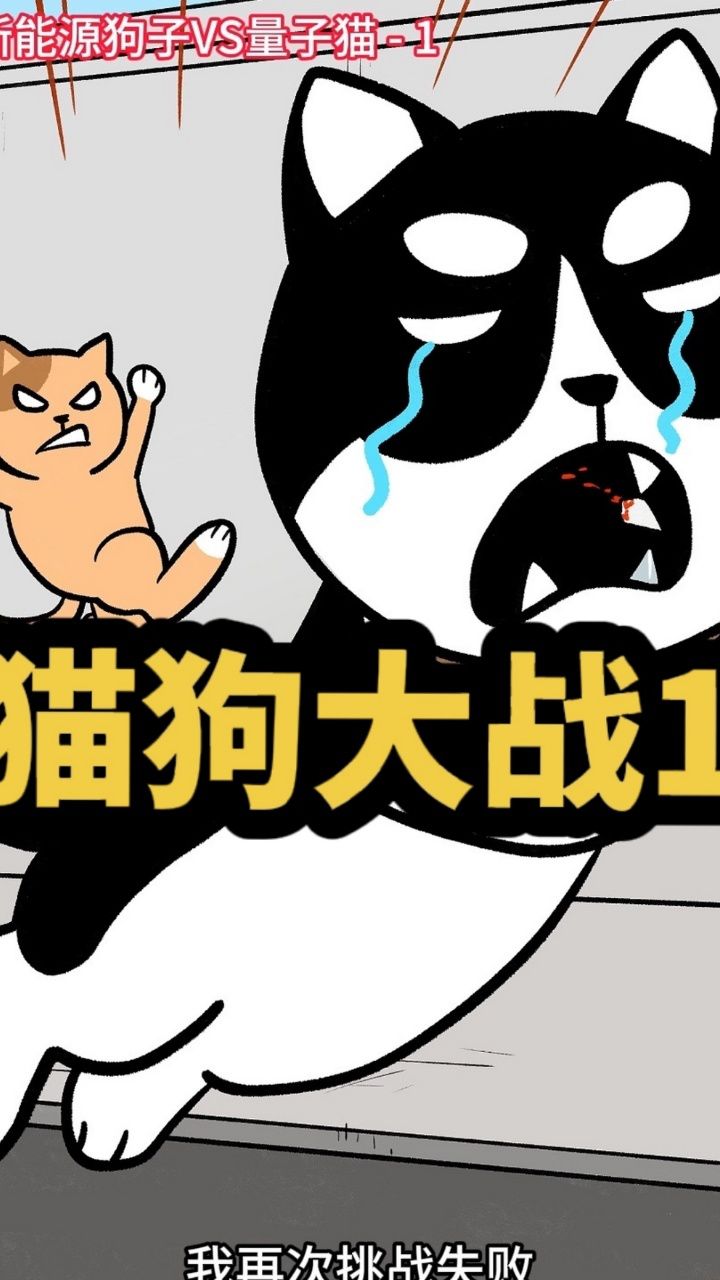 第一集|猫狗大战|这次是轻松的故事,没有小动物会受伤!