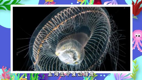 奇妙的发光生物——维多利亚多管发光水母，深海“电灯泡”