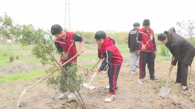 【聚焦“百县千镇万村高质量发展工程”】潮南教育系统共植教育同心林 争优创建十大绿美校园