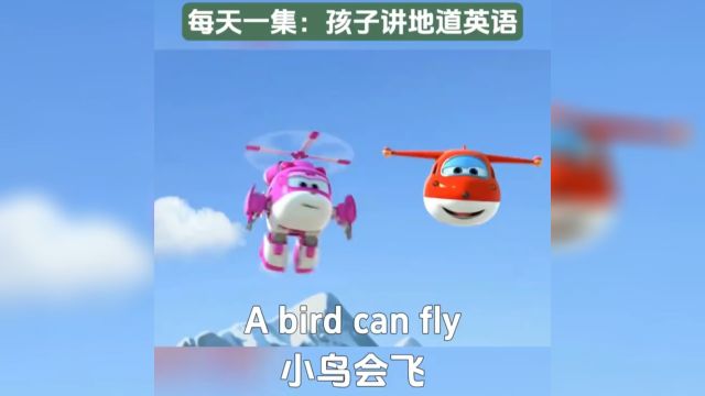 每日英语口语练习a bird can fly 小鸟会飞