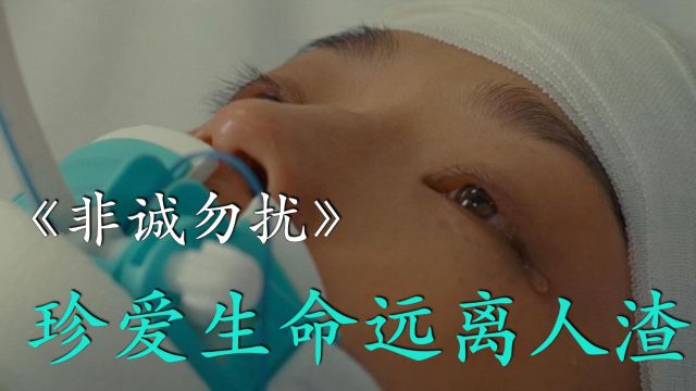 回忆当年的《非诚勿扰》1:远离人渣、珍爱生命、拒绝内耗!