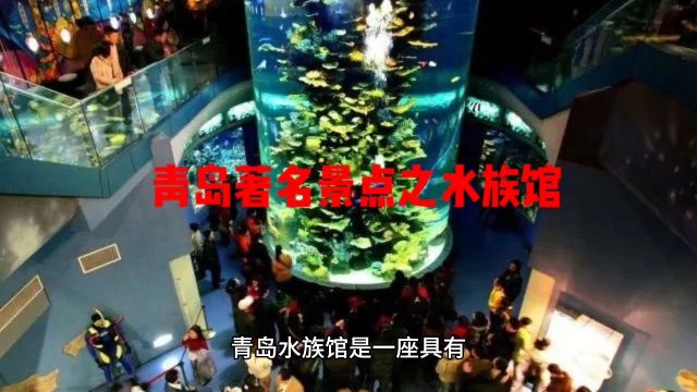 青岛著名景点之水族馆