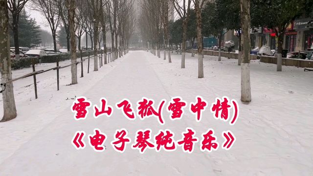 经典影视金曲《雪中情》电子琴纯音乐