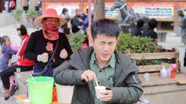 被香格里拉路边摊的牦牛酸奶酸哭 为啥牦牛酸奶这么酸人还爱吃|符善皇