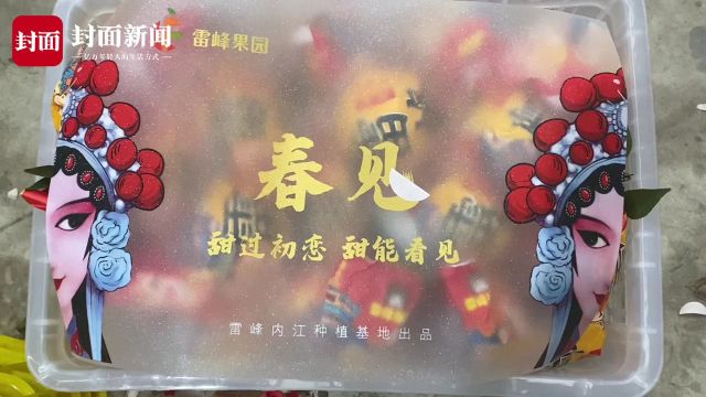 探访四川内江这个冷链物流中心 从种好“一颗果”到发展“一条链”