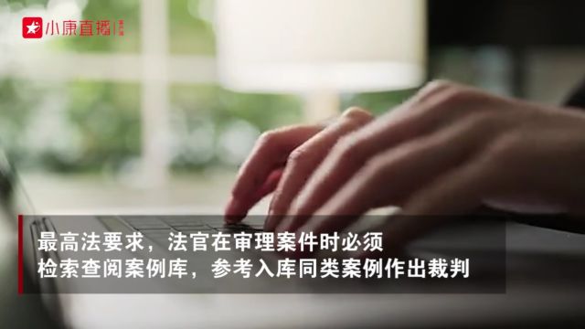 人民法院案例库正式上线并向社会开放  