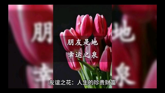 友谊之花:人生的珍贵财富