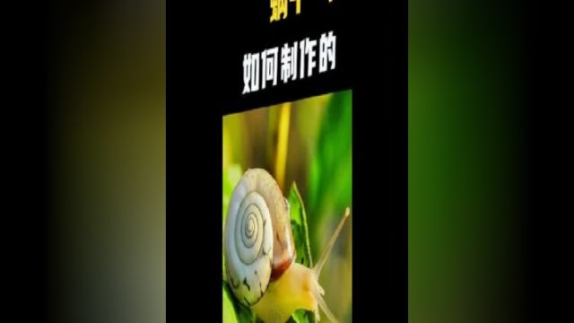 蜗牛全身是宝,除了端上餐桌之外,蜗牛还有这些价值