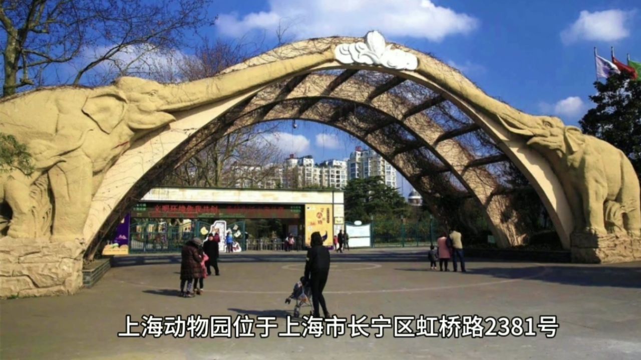 探访上海动物园,观珍稀动物,度亲子时光