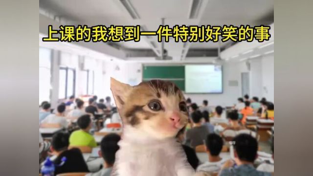 猫咪表情包人间真实开学上课日常学校日常