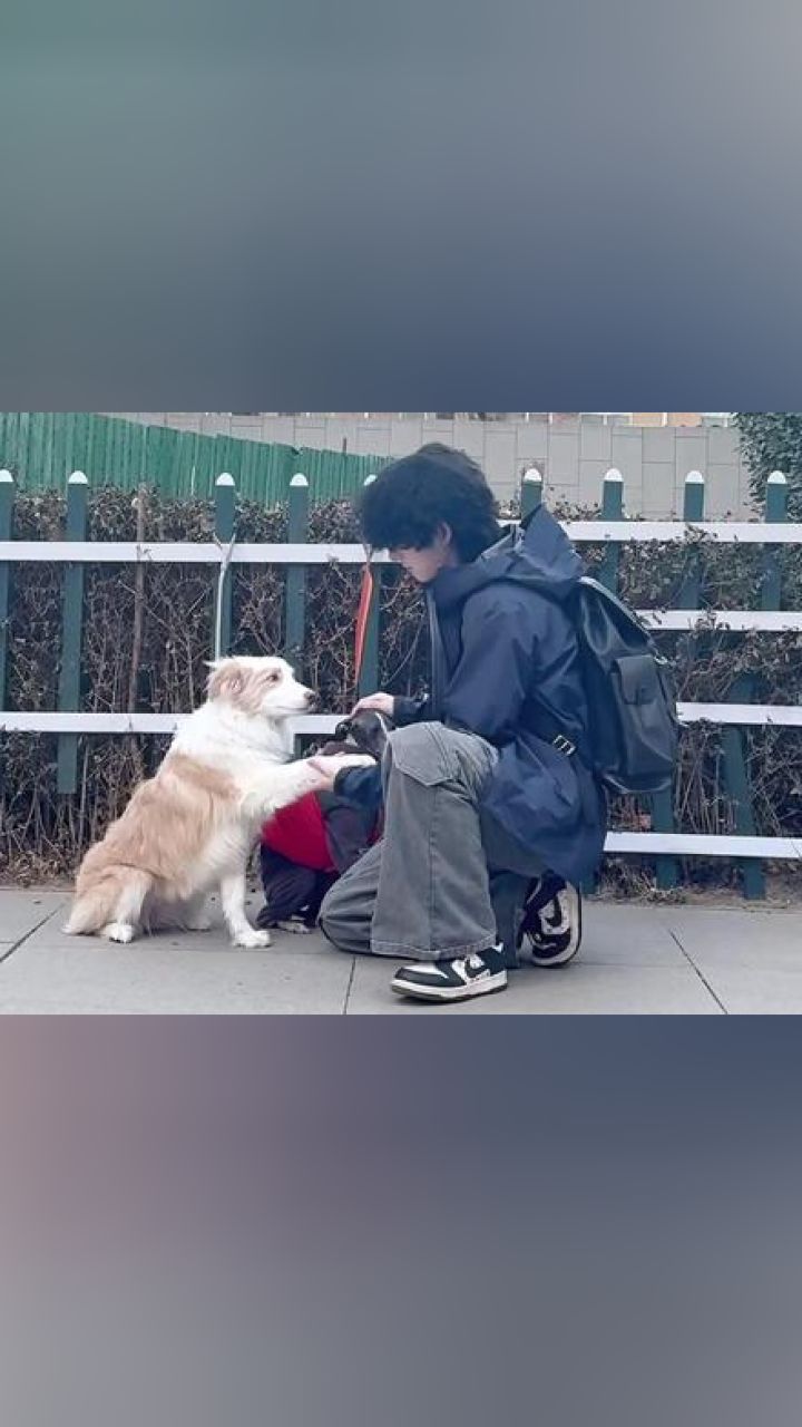 来握个爪#浅跳一下