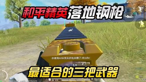 最适合落地钢枪的三把武器#和平精英