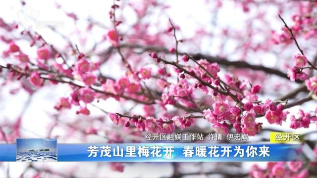 【早安ⷮŠ常州】央媒省媒持续聚焦,听全国两会“常州声音”!