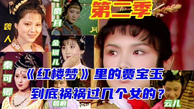 《红楼梦》里的贾宝玉,到底祸祸过几个女的?第二季