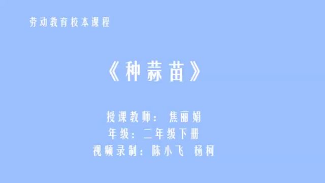 田园劳动:优秀案例《种蒜苗》