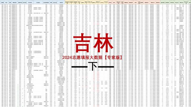 吉林2024高考大数据专家版使用指南(下)