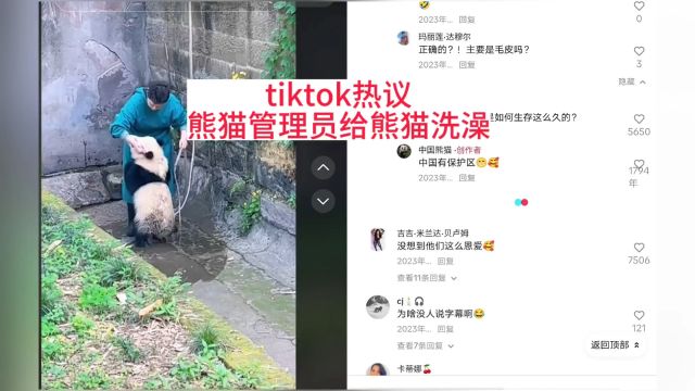 tiktok热议:熊猫管理员给熊猫洗澡