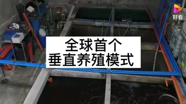 高手养虾,年获百万的高昂利润!就是凭借这份换水大技巧!