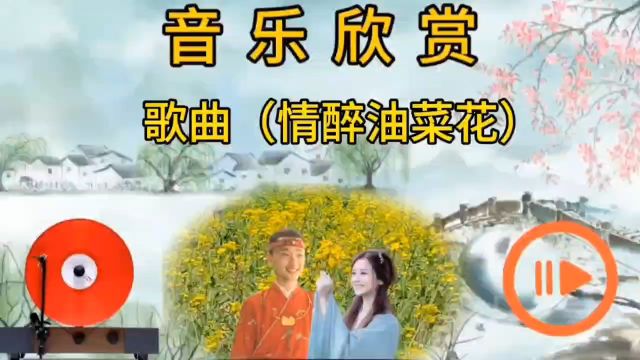 歌曲(情醉油菜花)