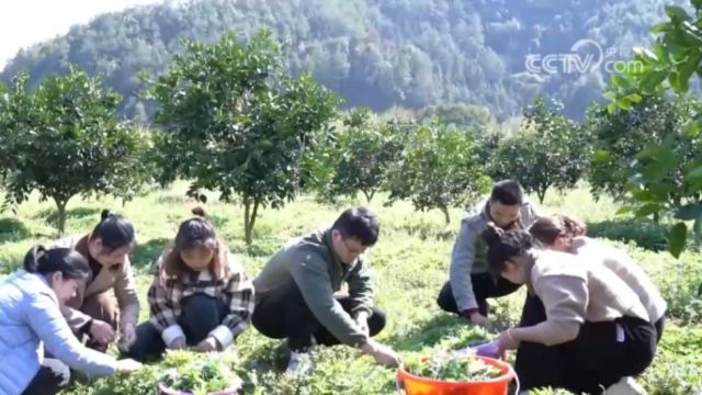 中国经济开年报:消费市场持续向好,经济动力强劲